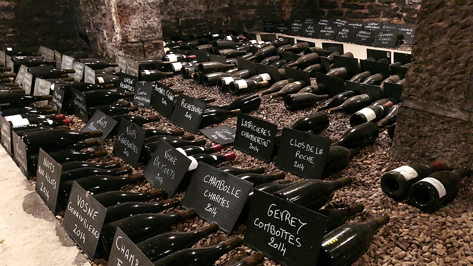 leroys whites, a very serious wine that needs both cellaring